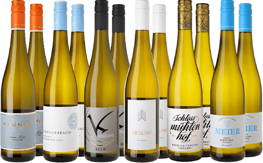 Großes Riesling Entdecker-Paket - WirWinzer Select