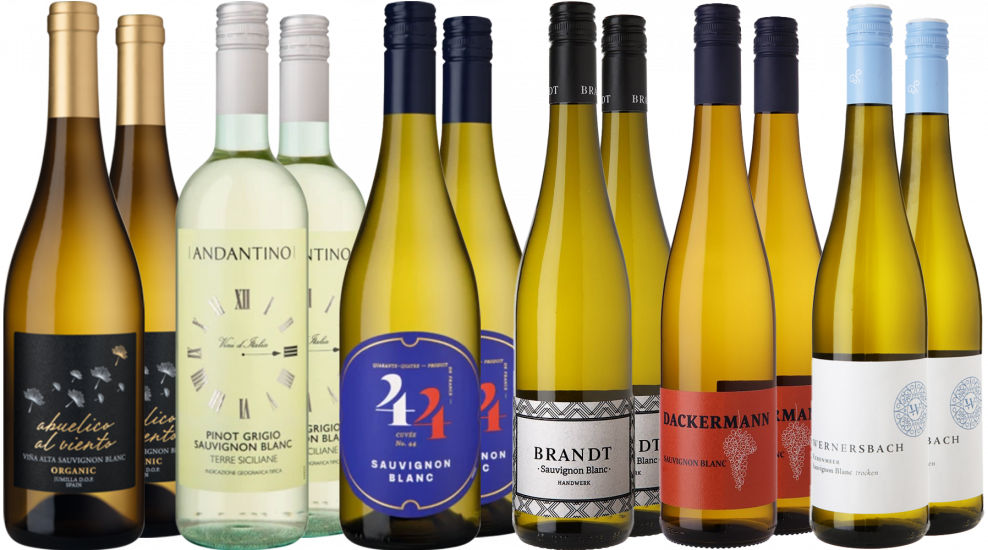 Großes Sauvignon Blanc Reise - WirWinzer Spezial