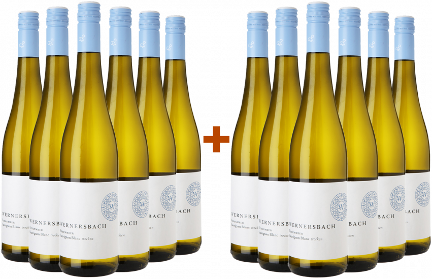 6+6 Paket 2024 Rebenmeer Sauvignon Blanc trocken - Weingut Wernersbach