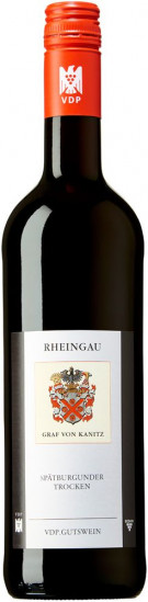 2023 Spätburgunder VDP.Gutswein trocken Bio - Weingut Graf von Kanitz
