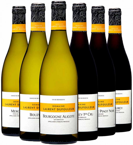 Domaine Laurent Dufouleur Kennenlern-Paket - Maison L. TRAMIER & Fils SAS