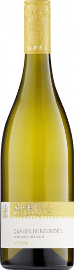 2025 Grauer Burgunder - vom Muschelkalk - trocken - Weingut Apel