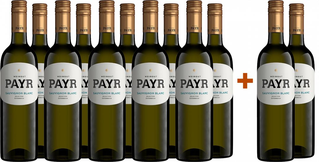 10+2 2024 Sauvignon Blanc Selection ÖTW Gutswein BIO Bio - Bio Weingut Robert Payr