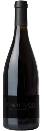 2020 Pinot Noir Recher Herrenberg trocken - Weingut O.Schell