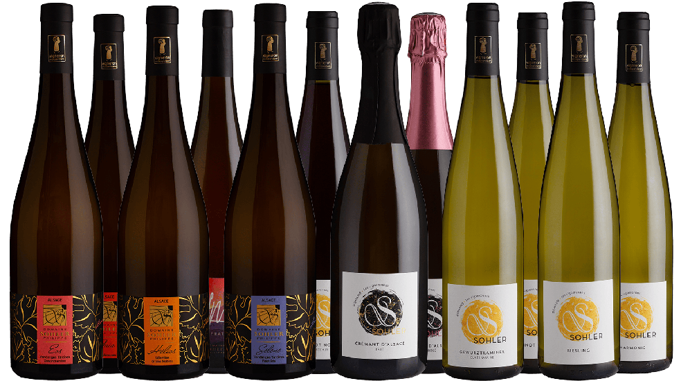 Großes Kennenlern-Paket Bio - Domaine Sohler Les Vigneronnes