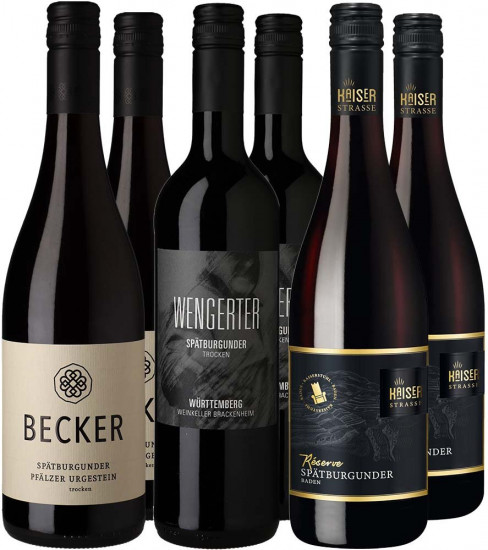 Spätburgunder Entdecker-Paket 