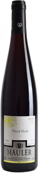 2022 Pinot Noir Alsace AOP trocken - Domaine Jean-Paul Mauler