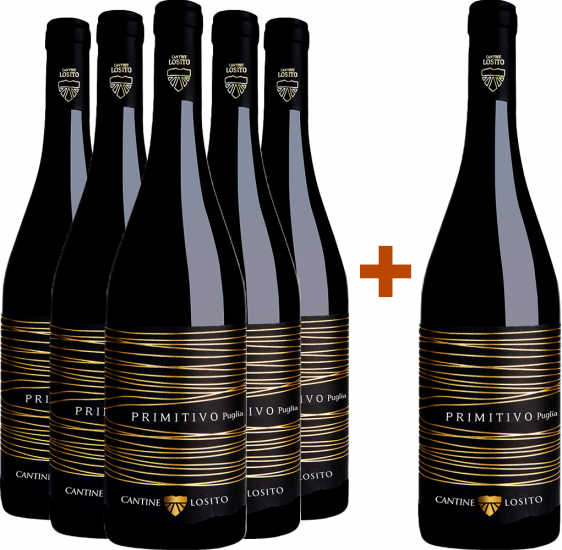 5+1 Primitivo Puglia IGP Bio - Cantine Losito