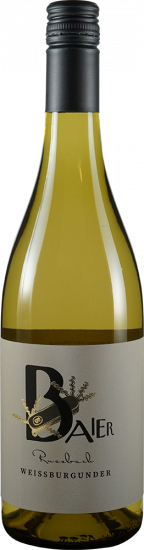 2024 Weißburgunder Russbach trocken Bio - Weingut Baier