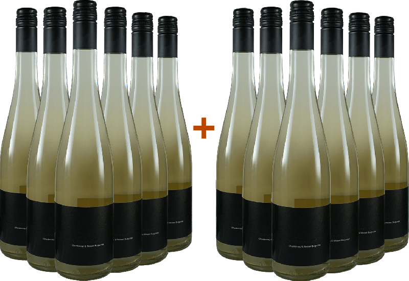 6+6 Civinus Chardonnay & Weißer Burgunder BIO Bio - Weingut Franz