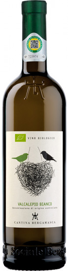 Bianco Valcalepio DOC trocken - Cantina Sociale Bergamasca