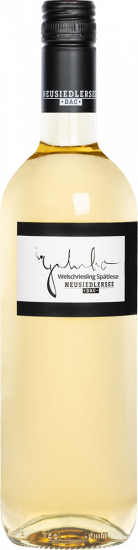 2023 Welschriesling Spätlese DAC Neusiedlersee süß - Weingut Galumbo