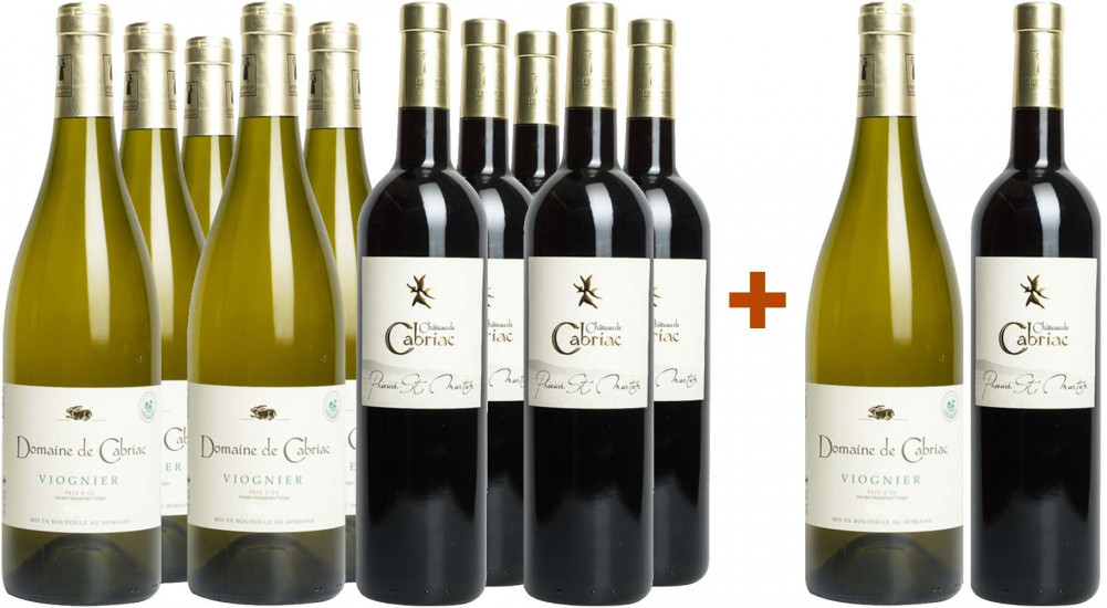 Domaine de Cabriac Weihnachts-Paket I - Domaine de Cabriac