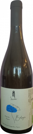 2022 Fiano Marche IGP Bio - Podere Mattei