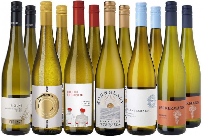 Großes Riesling Entdecker-Paket