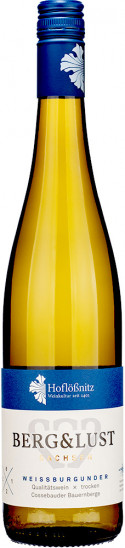 2023 BERG&LUST Weißburgunder trocken - Weingut Hoflößnitz