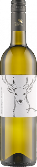 2023 Weinviertel DAC Große Reserve Junger Berg trocken - Weinhof Hirschbüchler
