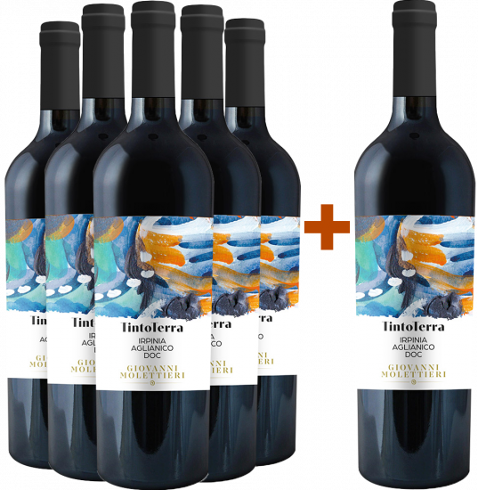 5+1 Paket Falanghina Campania IGP - Giovanni Molettieri