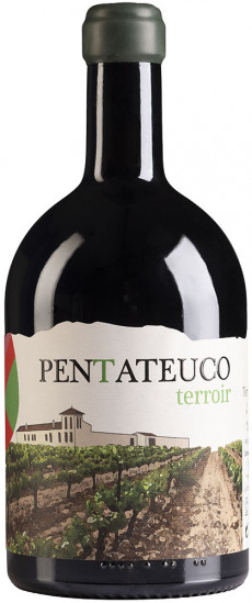 2020 Pentateuco Terroir Extremadura VT trocken 1,5 L - Pentateuco - Agro Ribera Nature