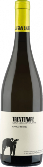 2024 San Salvatore Trentenare Fiano trocken - Azienda Agricole San Salvatore