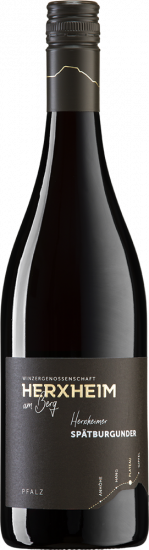 2023 PLATEAU Herxheimer Spätburgunder Rotwein trocken - Winzergenossenschaft Herxheim am Berg