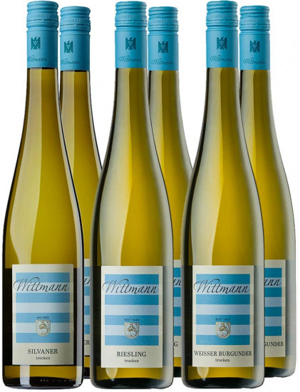 Wittmann Kennenlern-Paket - Weingut Wittmann