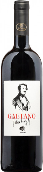 2006 Gaetano Donizetti Riserva DOC trocken - Tallarini