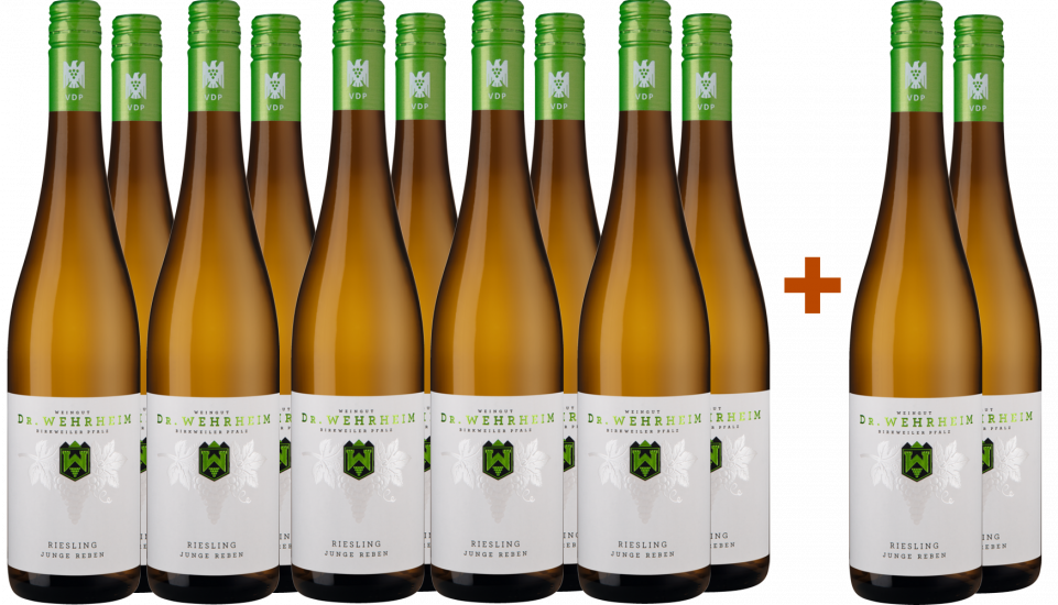 Großes Riesling Junge Reben-Paket Bio - Weingut Dr. Wehrheim