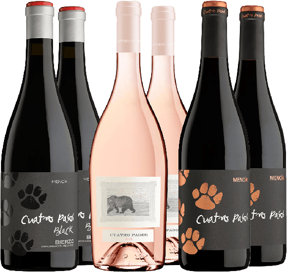 Kennenlern-Paket 4 Pasos Bierzo DO - Bodegas Cuatro Pasos