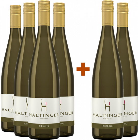 4+2 Paket Baden-Markgräflerland Riesling trocken - Haltinger Winzer eG