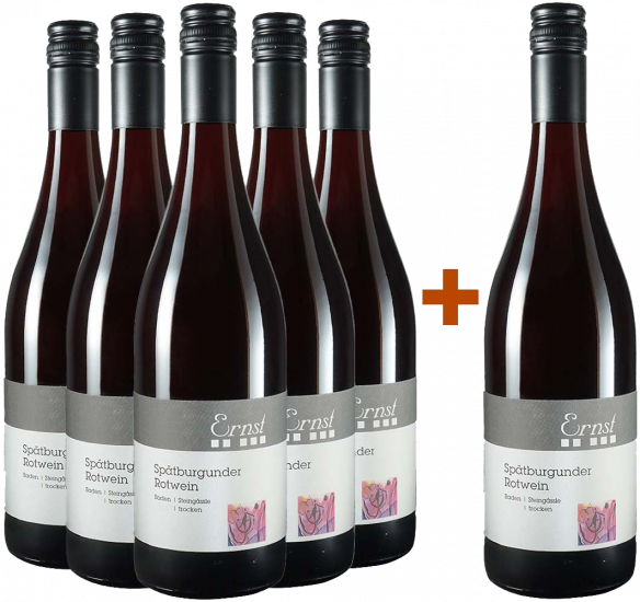 5+1 Paket Spätburgunder Steingässle trocken Bio - Weingut Ernst