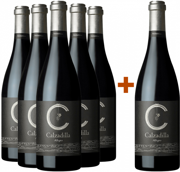 Aktionspaket 5+1 Allegro Pago Calzadilla VP Bio - Pago Calzadilla