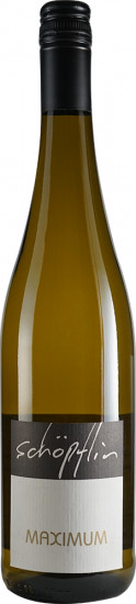 2019 Weißburgunder Maximum trocken - Weingut Schöpflin