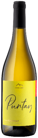 2021 Puntay Chardonnay Alto Adige DOC trocken - Erste+Neue