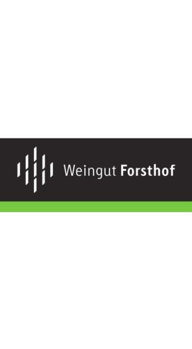 2017 Lemberger Rosé trocken Bio - Weingut Forsthof