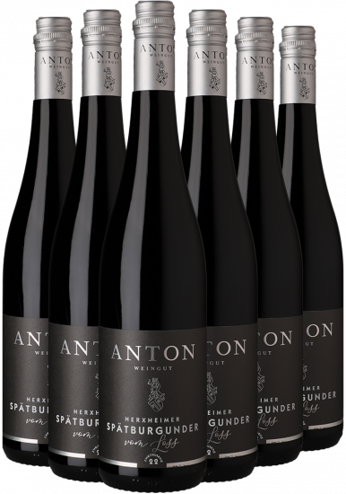 Herxheimer Spätburgunder-Paket  - Weingut Anton