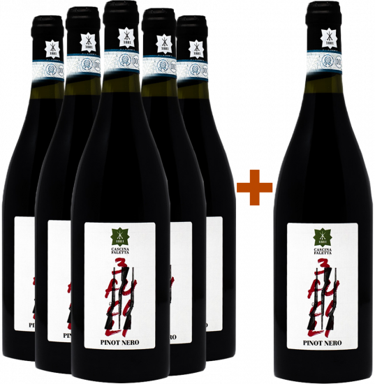 5+1 Paket 3 Fucili Piemonte DOC - Cascina Faletta