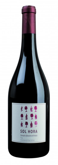 2022 Sol Hora Rioja D.O.C.a trocken - Castroviejo