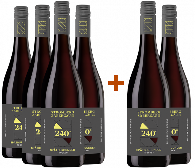 4+2 Paket 240° Entdeckung Spätburgunder - Weingärtner Stromberg-Zabergäu
