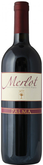 2021 Merlot Toscana IGP trocken - Agricola Fabbriche – Palma