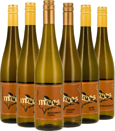 Probierpaket Weißweine trocken - Weingut Mees