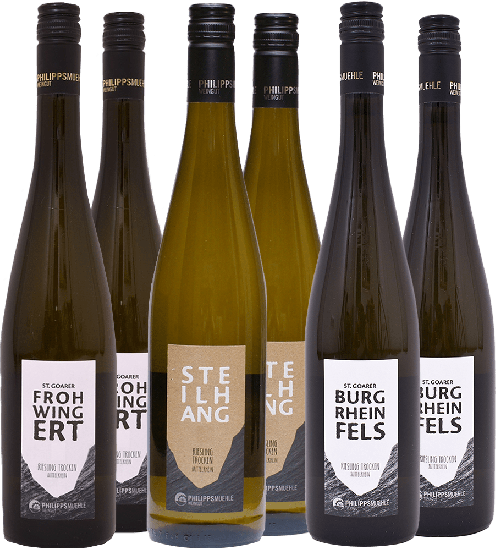 Riesling-Paket trocken - Weingut Philipps-Mühle