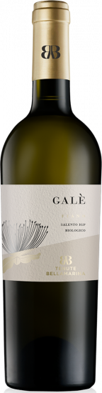 Galè Salento IGP trocken Bio - Tenute Bellamarina