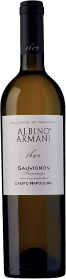 2023 Sauvignon Campo Napoleone Trevenezie IGP - Travino Special Valsugana