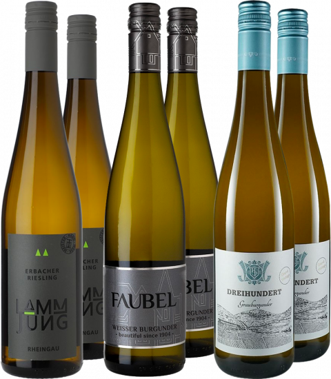 Weißwein Premium-Paket - WirWinzer Spezial