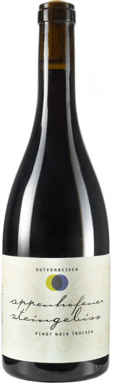 2020 Appenhofener Steingebiss Pinot Noir Q.b.A. trocken - Weingut Gut von Beiden