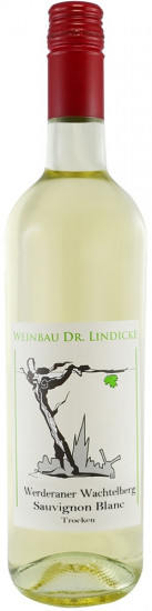 2020 Sauvignon Blanc trocken - Weinbau Dr. Lindicke