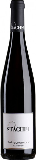 2020 Spätburgunder Maikammer trocken - Weingut Erich Stachel
