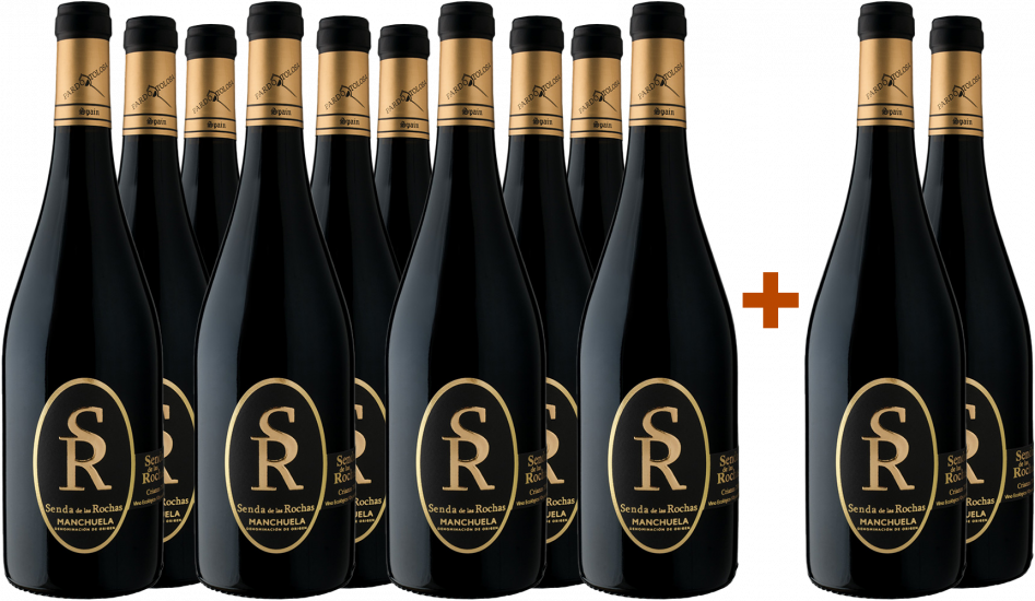 Aktionspaket 10+2 Senda de las Rochas Manchuela DO Bio - Bodega Pardo Tolosa