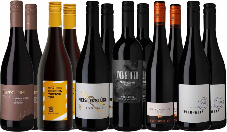 Großes Spätburgunder Entdecker-Paket